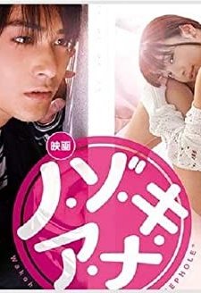 A Peeping Hole (2014) afişi