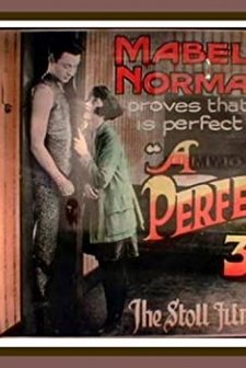 A Perfect 36 (1918) afişi