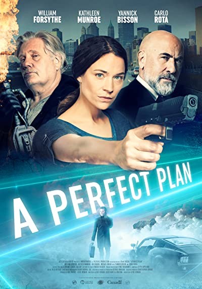 A Perfect Plan (2020) afişi A Perfect Plan (2020) afişi