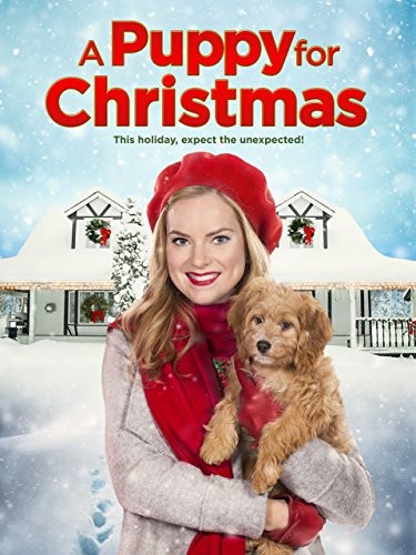 A Puppy for Christmas (2016) afişi A Puppy for Christmas (2016) afişi