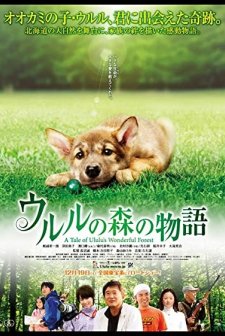A Tale of Ululu's Wonderful Forest (2009) afişi