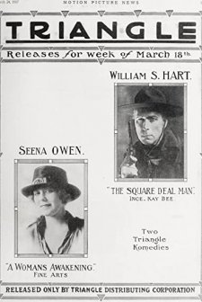 A Woman's Awakening (1917) afişi