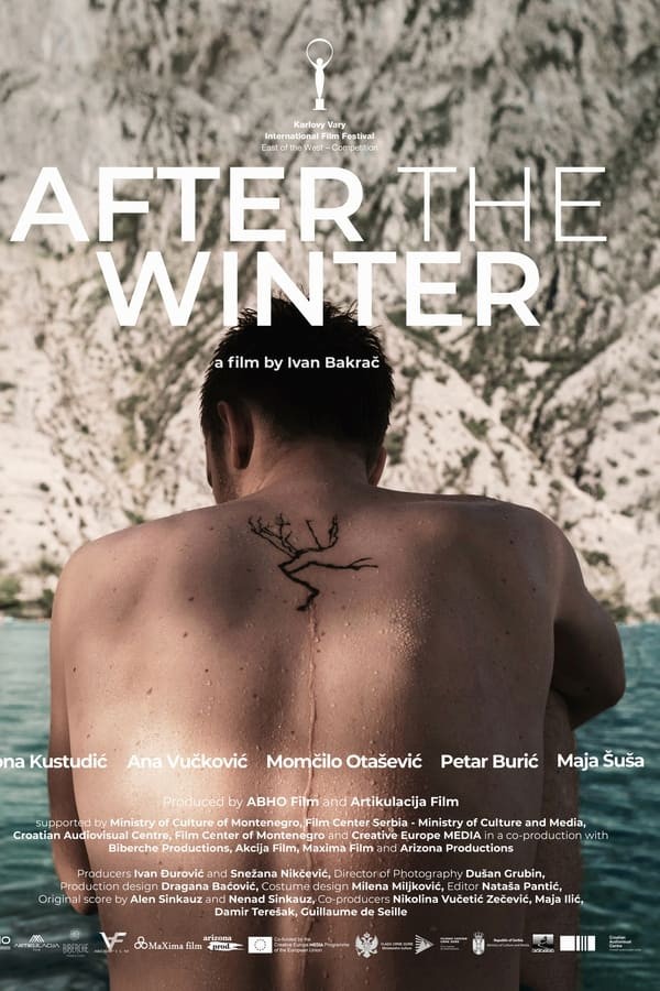 After the Winter (2021) afişi After the Winter (2021) afişi