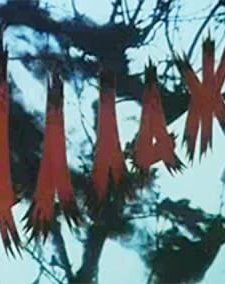 Allazhar (1993) afişi