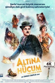 Altına Hücum (1925) afişi