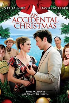 An Accidental Christmas (2007) afişi
