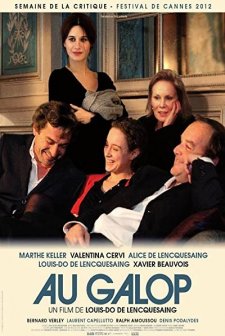 An Meselesi (2012) afişi