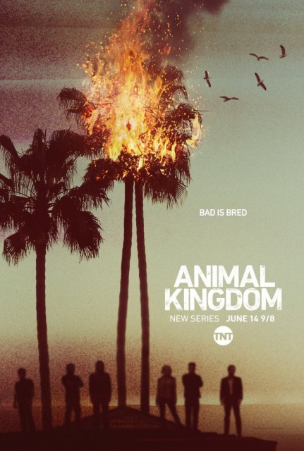 Animal Kingdom 1 (2016) afişi Animal Kingdom 1 (2016) afişi