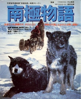 Antarktika (1983) afişi Antarktika (1983) afişi
