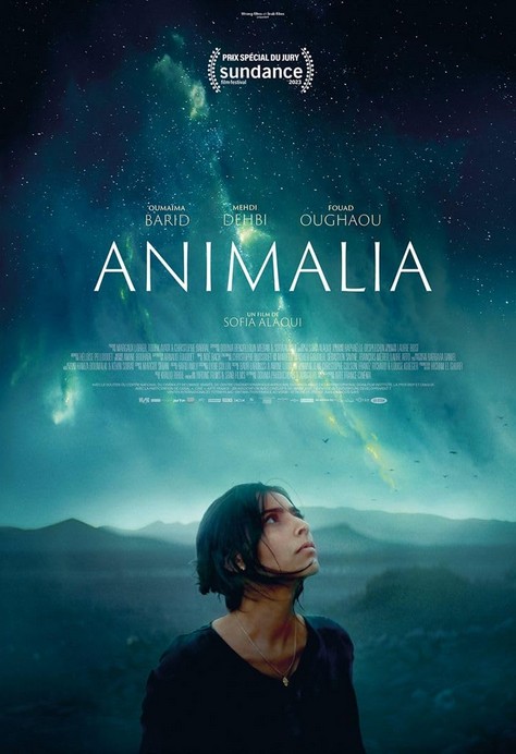 Aramızdalar (2023) afişi Aramızdalar (2023) afişi