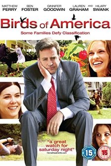 Arıza Aile (2008) afişi