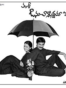 Avunu Valliddaru ıshtapaddaru (2002) afişi