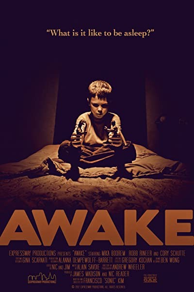 Awake (2013) afişi Awake (2013) afişi