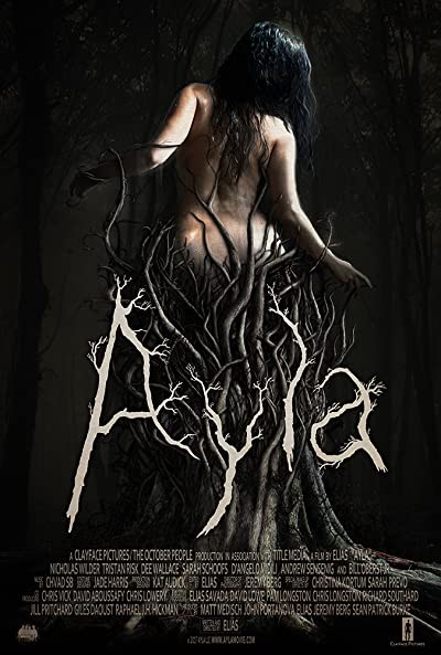 Ayla (2017) afişi Ayla (2017) afişi