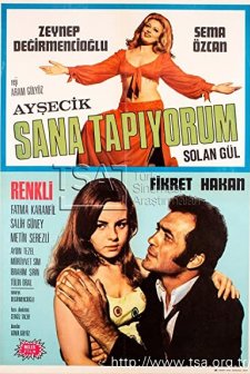 Ayşecik Sana Tapıyorum (1970) afişi