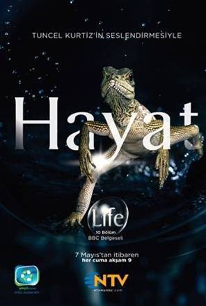 Bbc Hayat - Sürüngenler Ve Amfibiler (2009) afişi Bbc Hayat - Sürüngenler Ve Amfibiler (2009) afişi