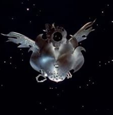 Babfilm (1976) afişi