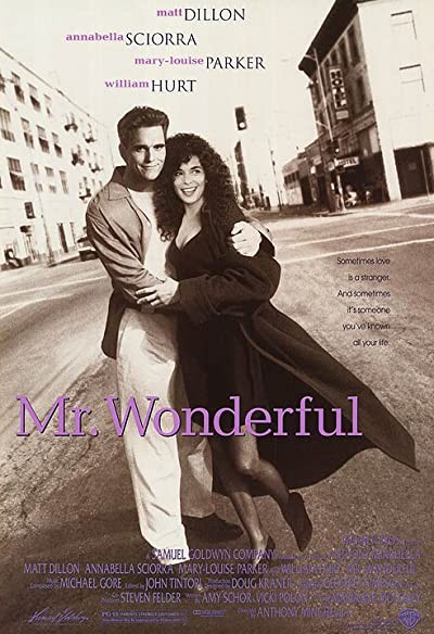 Bay Mükemmel (1993) afişi Bay Mükemmel (1993) afişi