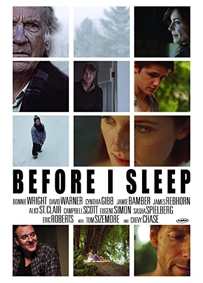 Before I Sleep (2013) afişi Before I Sleep (2013) afişi