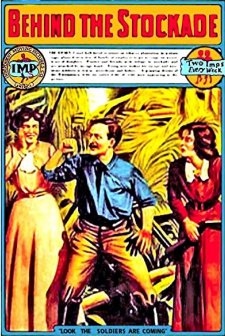 Behind The Stockade (1911) afişi