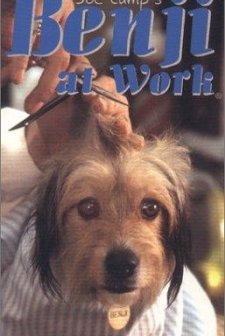Benji At Work (1980) afişi