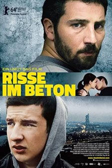 Betondaki Çatlaklar (2014) afişi