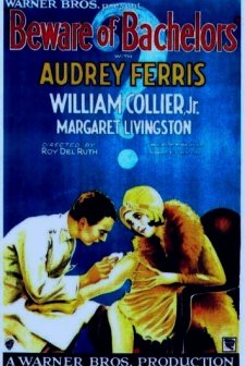 Beware Of Bachelors (1928) afişi