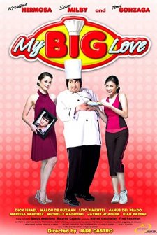 Big Love (2008) afişi