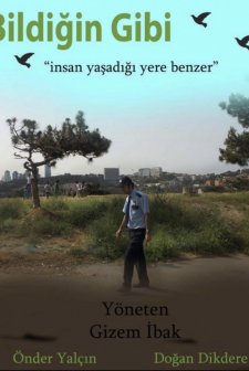 Bildiğin Gibi (2013) afişi