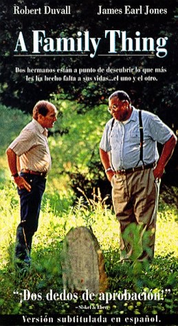 Bir Aile Sorunu (1996) afişi Bir Aile Sorunu (1996) afişi