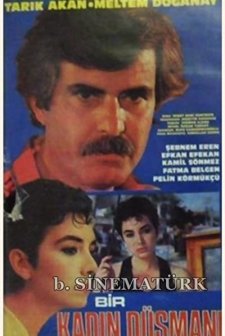Bir Kadın Düşmanı (1991) afişi
