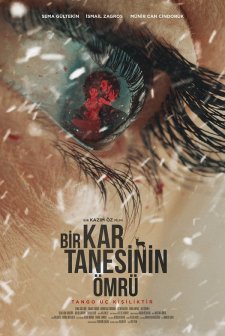 Bir Kar Tanesinin Ömrü (2022) afişi