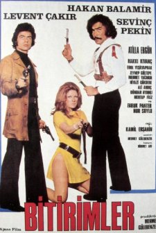 Bitirimler (1972) afişi