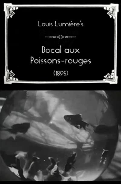 Bocal Aux Poissons-rouges (1895) afişi Bocal Aux Poissons-rouges (1895) afişi