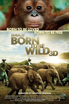 Born To Be Wild (2011) afişi
