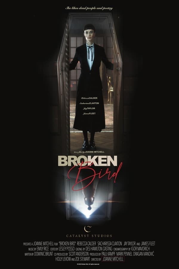 Broken Bird (2024) afişi