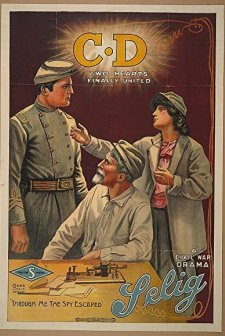 'c D' - A Civil War Tale (1914) afişi