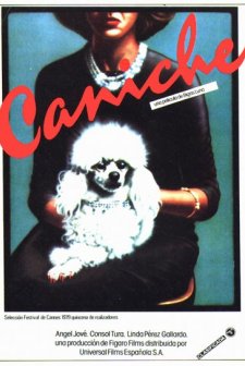 Caniche