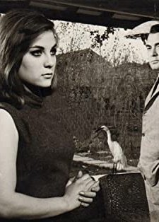 Canım Sana Feda (1965) afişi