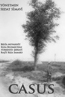Casus (1917) afişi