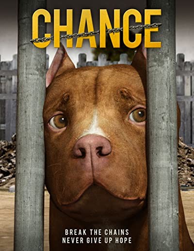 Chance (2019) afişi Chance (2019) afişi