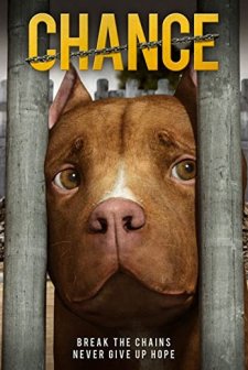 Chance (2019) afişi