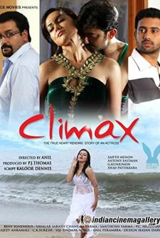 Climax (2013) afişi