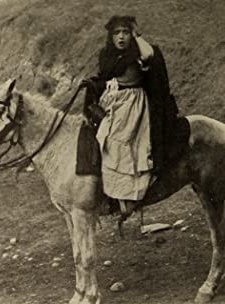 Cohen Saves The Flag (1913) afişi