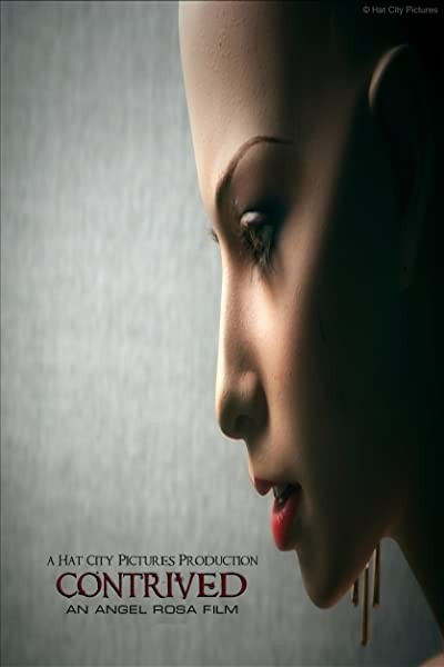 Contrived (2017) afişi Contrived (2017) afişi