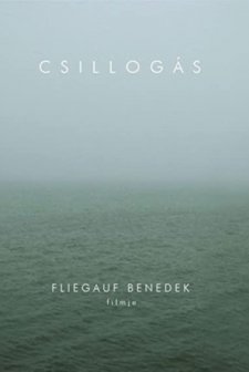 Csillogás (2008) afişi