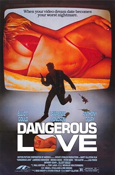 Dangerous Love (1988) afişi Dangerous Love (1988) afişi