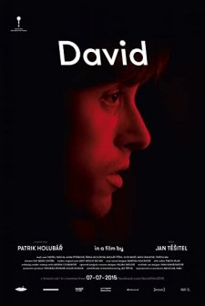 David (2015) afişi
