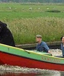 De Kameleon Sjocht Yn It Waar (2002) afişi