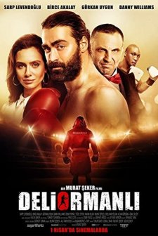 Deliormanlı (2016) afişi